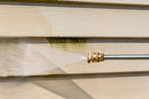 Best Affordable Power Washing  in Minier, IL